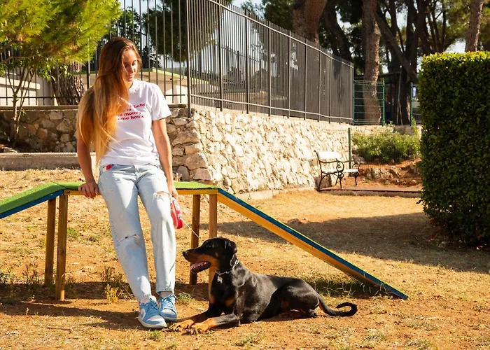 レジデンス スーペリアー デル マー バニョレ